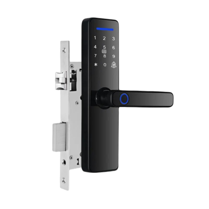 Cerradura inteligente Exterior LK06