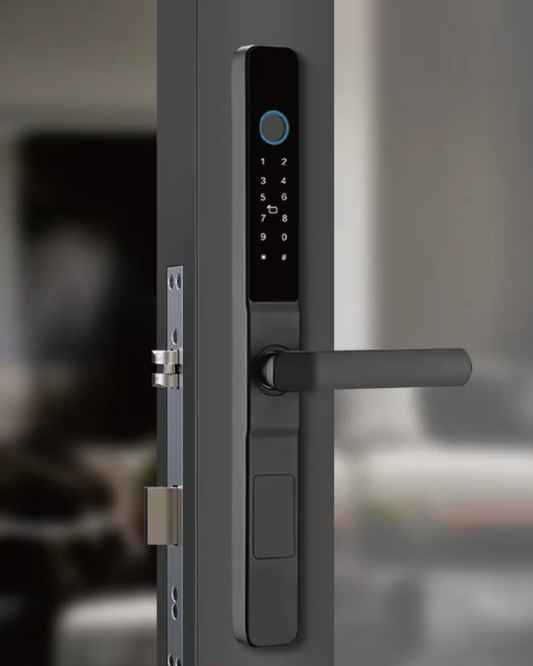 Cerradura inteligente Exterior LK06