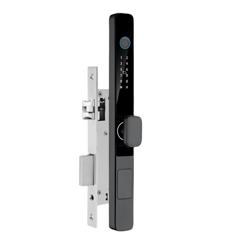 Cerradura iteligente Exterior Wifi Tuya con pestillo corto LK09