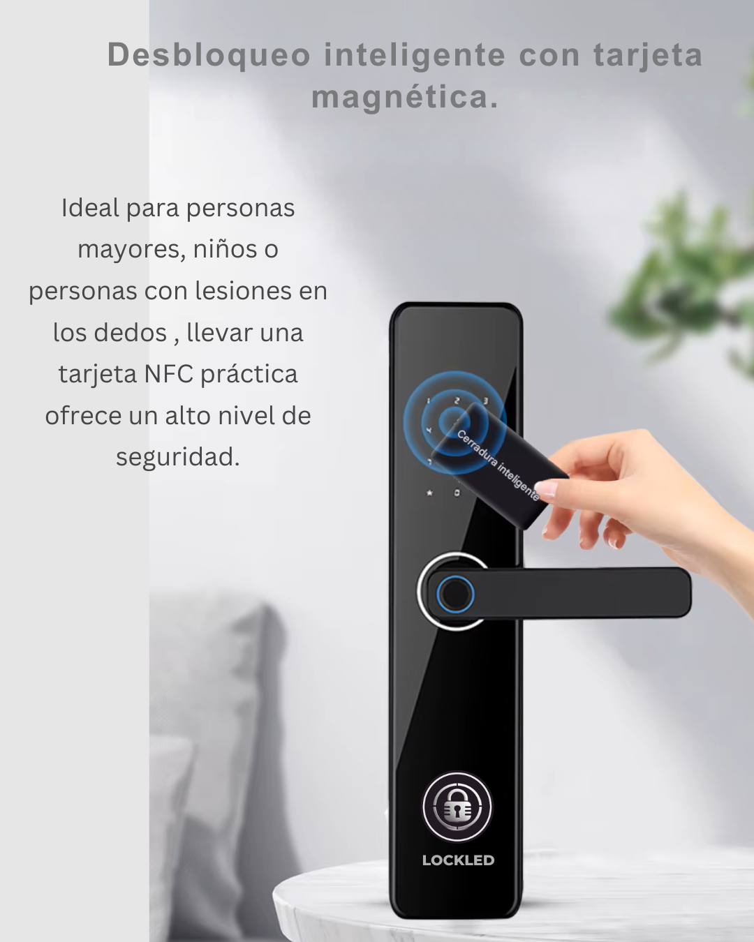 Cerradura Inteligente Exterior LK04