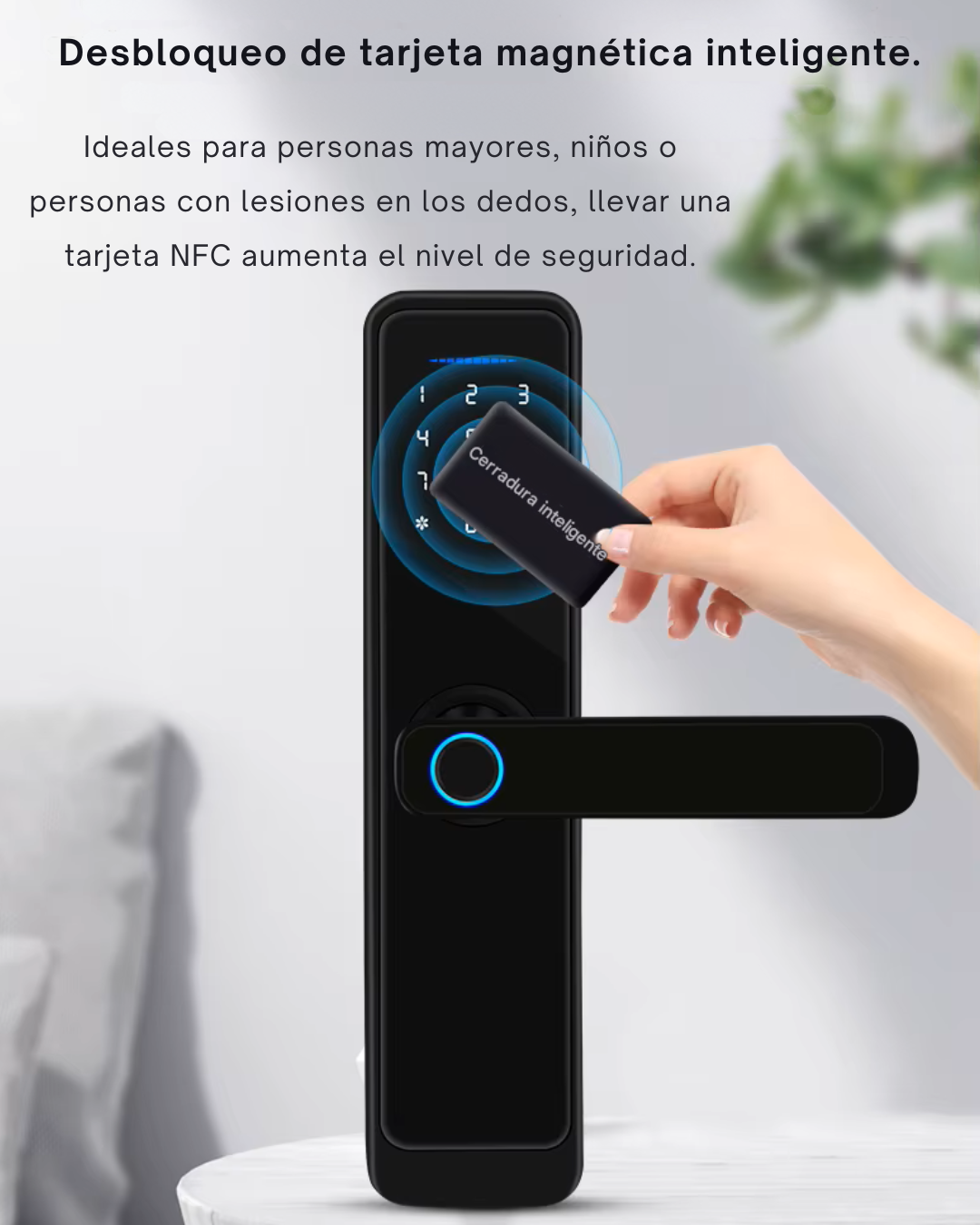Cerradura Inteligente Exterior/Interior LK03